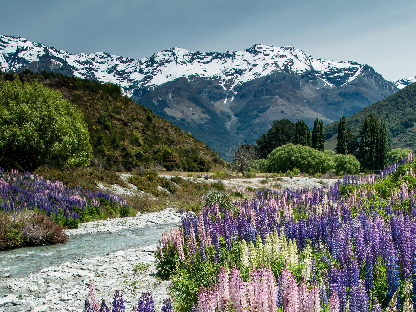 Glenorchy Peaks Bed And Breakfast ภายนอก รูปภาพ