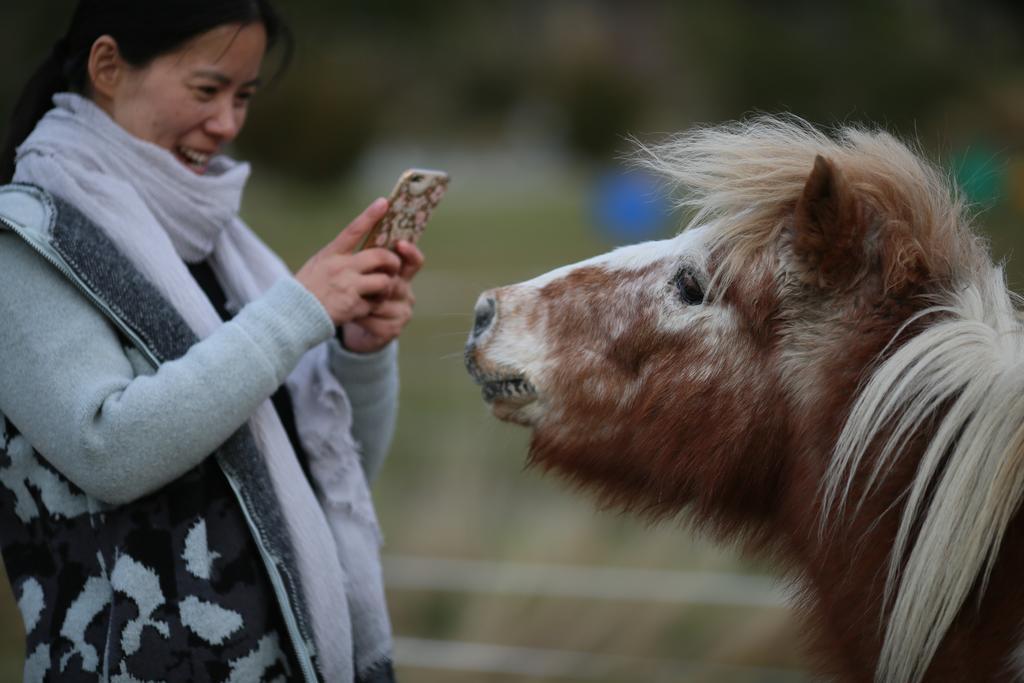 Glenorchy Peaks Bed And Breakfast ภายนอก รูปภาพ